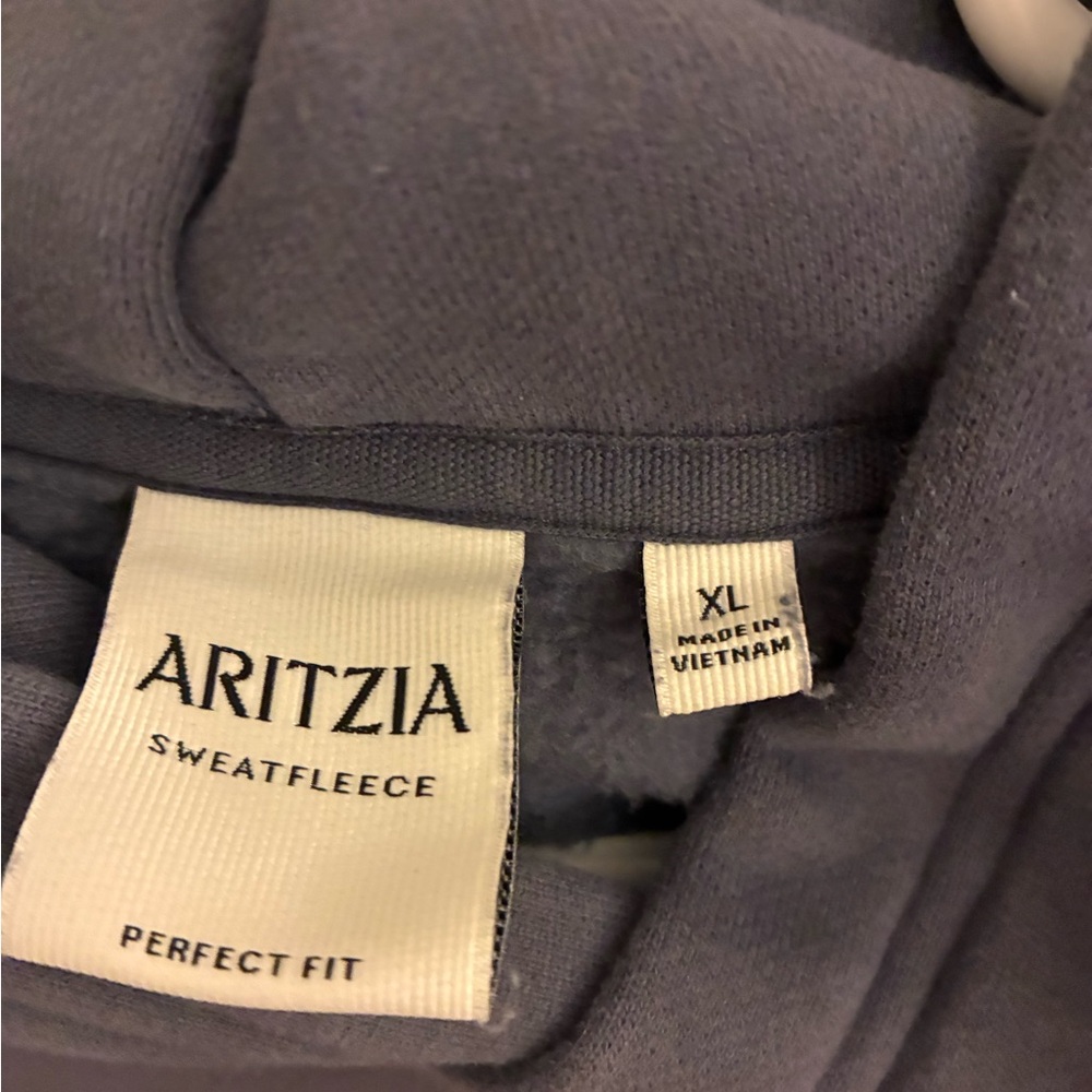 Aritzia Sweatfleece Hoodie - Picture 2 of 4